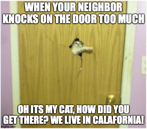 here comes my kitty!! | WHEN YOUR NEIGHBOR KNOCKS ON THE DOOR TOO MUCH; OH ITS MY CAT, HOW DID YOU GET THERE? WE LIVE IN CALAFORNIA! | image tagged in here's kitty | made w/ Imgflip meme maker