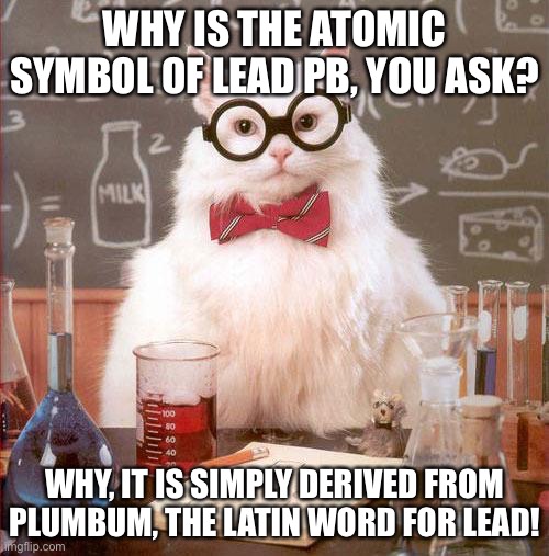 Science Cat | WHY IS THE ATOMIC SYMBOL OF LEAD PB, YOU ASK? WHY, IT IS SIMPLY DERIVED FROM PLUMBUM, THE LATIN WORD FOR LEAD! | image tagged in science cat | made w/ Imgflip meme maker