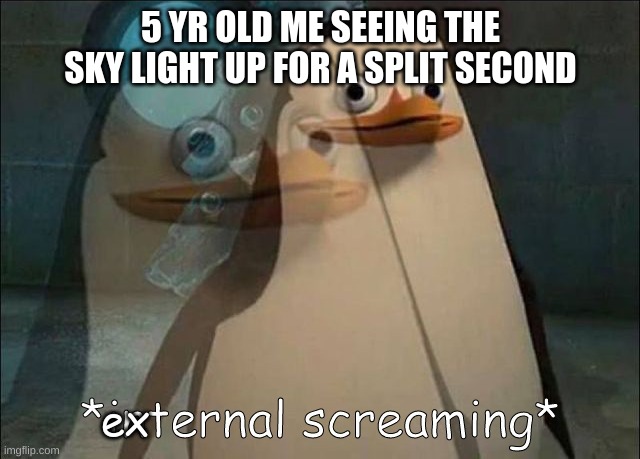 lightning was frighting as a child | 5 YR OLD ME SEEING THE SKY LIGHT UP FOR A SPLIT SECOND; ex | image tagged in private internal screaming | made w/ Imgflip meme maker