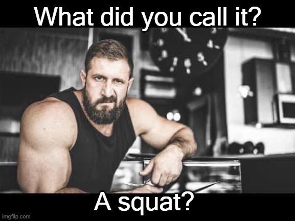 Workout | What did you call it? A squat? | image tagged in workout,squat,disapproval | made w/ Imgflip meme maker