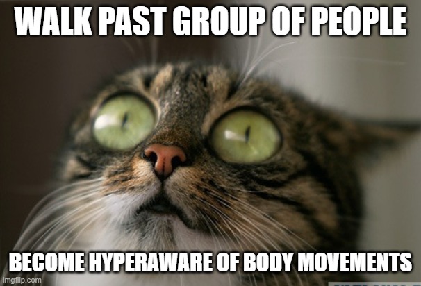 Introverts, Social Anxiety, | WALK PAST GROUP OF PEOPLE; BECOME HYPERAWARE OF BODY MOVEMENTS | image tagged in trauma cat,socially awkward cat,introverts,social anxiety,scared cat | made w/ Imgflip meme maker