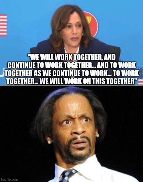 WTF she talking about? | “WE WILL WORK TOGETHER, AND CONTINUE TO WORK TOGETHER… AND TO WORK TOGETHER AS WE CONTINUE TO WORK… TO WORK TOGETHER… WE WILL WORK ON THIS TOGETHER” | image tagged in katt williams wtf meme | made w/ Imgflip meme maker