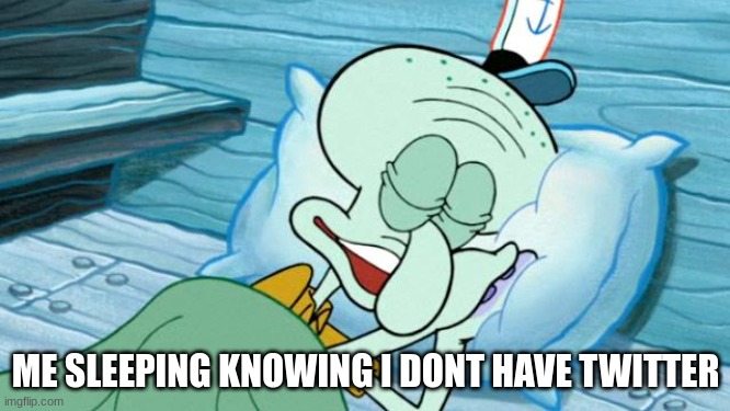 Squid ward sleep responsibly  | ME SLEEPING KNOWING I DONT HAVE TWITTER | image tagged in squid ward sleep responsibly | made w/ Imgflip meme maker