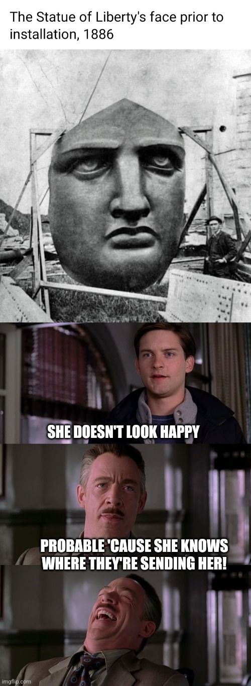 Lady Liberty. | SHE DOESN'T LOOK HAPPY; PROBABLE 'CAUSE SHE KNOWS WHERE THEY'RE SENDING HER! | image tagged in jameson laugh,statue of liberty,france,gift,united states,history | made w/ Imgflip meme maker