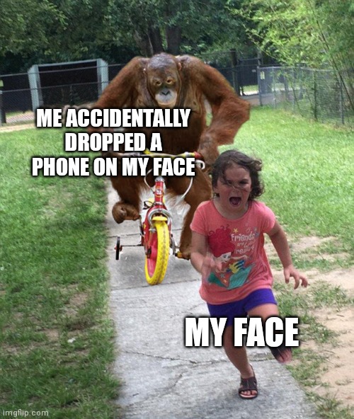 ouch | ME ACCIDENTALLY DROPPED A PHONE ON MY FACE; MY FACE | image tagged in orangutan chasing girl on a tricycle,memes,memes with no context,no context,lol,thisimagehasalotoftags | made w/ Imgflip meme maker