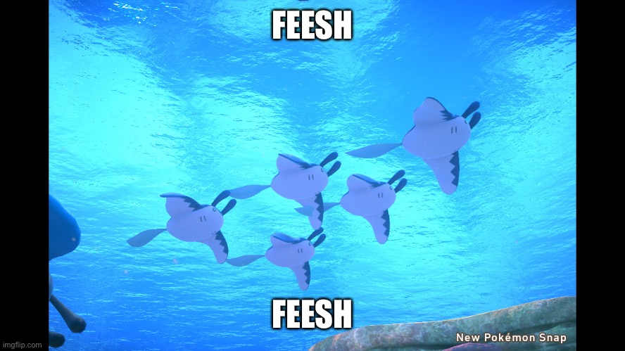 Feesh | FEESH; FEESH | image tagged in feesh | made w/ Imgflip meme maker