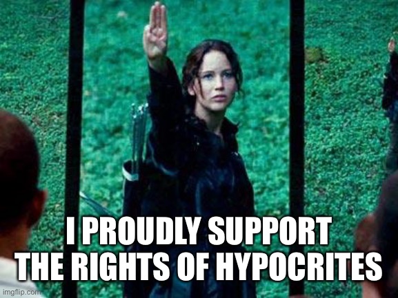 Hunger Games 2 | I PROUDLY SUPPORT THE RIGHTS OF HYPOCRITES | image tagged in social justice | made w/ Imgflip meme maker
