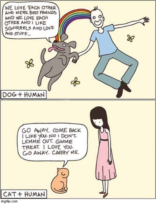 Having A Dog Over Having A Cat ! | image tagged in dogs,cats,owner,cartoon | made w/ Imgflip meme maker