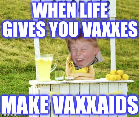 WHEN LIFE GIVES YOU VAXXES MAKE VAXXAIDS | made w/ Imgflip meme maker
