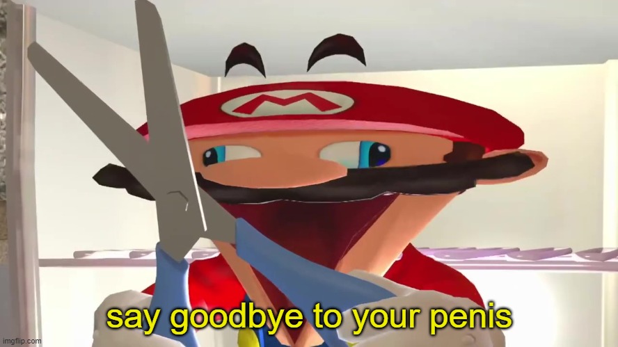 say goodbye to your penis Blank Meme Template