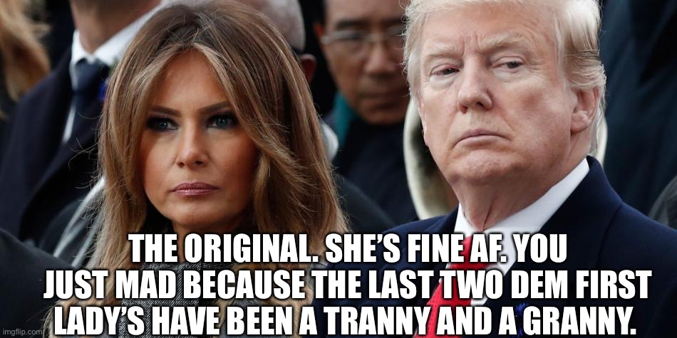 THE ORIGINAL. SHE’S FINE AF. YOU JUST MAD BECAUSE THE LAST TWO DEM FIRST LADY’S HAVE BEEN A TRANNY AND A GRANNY. | made w/ Imgflip meme maker