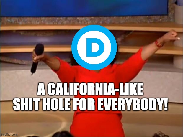 Oprah You Get A | A CALIFORNIA-LIKE SHIT HOLE FOR EVERYBODY! | image tagged in memes,oprah you get a | made w/ Imgflip meme maker