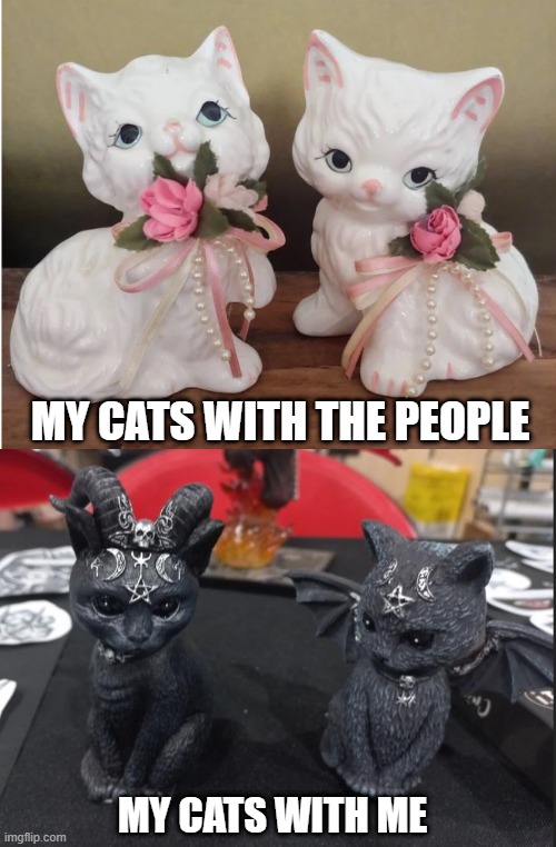 Meme cat Statues |  MY CATS WITH THE PEOPLE; MY CATS WITH ME | image tagged in cats,statues,statue | made w/ Imgflip meme maker