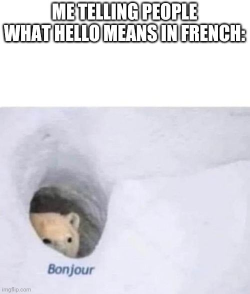 Bonjour |  ME TELLING PEOPLE WHAT HELLO MEANS IN FRENCH: | image tagged in bonjour,memes,oh wow are you actually reading these tags | made w/ Imgflip meme maker