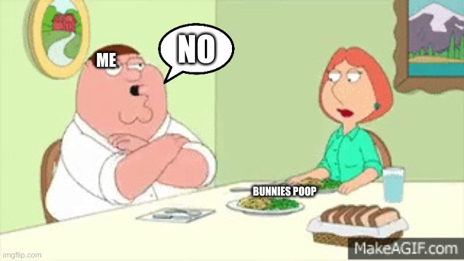 No Karate Foods | BUNNIES POOP ME NO | image tagged in no karate foods | made w/ Imgflip meme maker