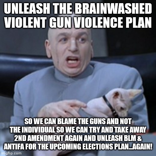 Doctor Evil with Cat | UNLEASH THE BRAINWASHED VIOLENT GUN VIOLENCE PLAN; SO WE CAN BLAME THE GUNS AND NOT THE INDIVIDUAL SO WE CAN TRY AND TAKE AWAY 2ND AMENDMENT AGAIN AND UNLEASH BLM & ANTIFA FOR THE UPCOMING ELECTIONS PLAN...AGAIN! | image tagged in doctor evil with cat | made w/ Imgflip meme maker