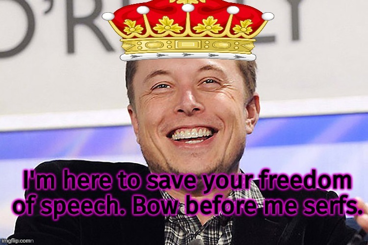 Never trust a diamond trilionaire | image tagged in elon musk,the ultimate,internet,troll | made w/ Imgflip meme maker