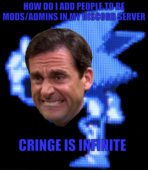 Cringe is infinite | HOW DO I ADD PEOPLE TO BE MODS/ADMINS IN MY DISCORD SERVER | image tagged in cringe is infinite | made w/ Imgflip meme maker