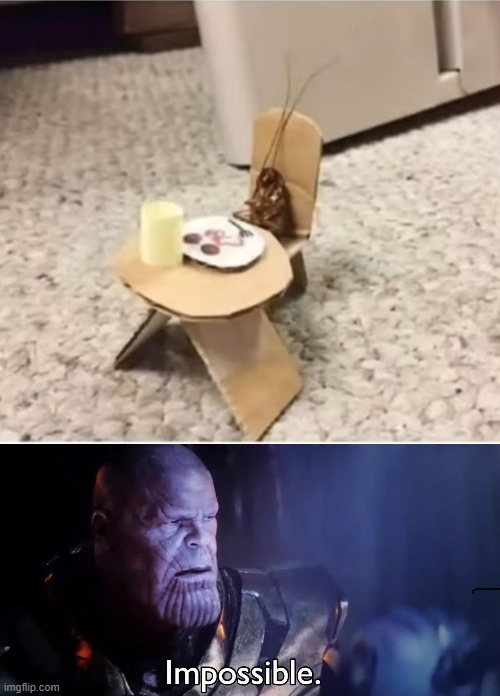 even cockroaches have dates | image tagged in thanos impossible | made w/ Imgflip meme maker