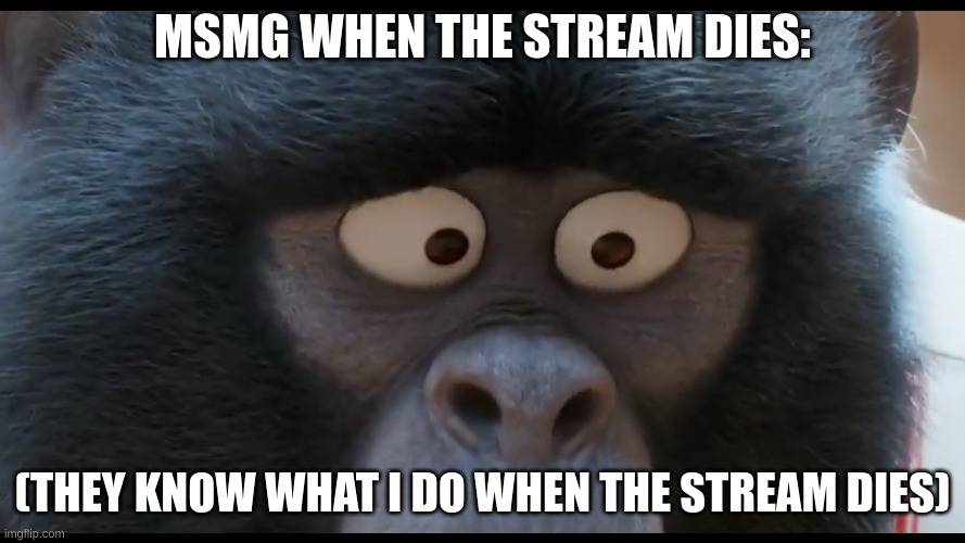 MSMG WHEN THE STREAM DIES:; (THEY KNOW WHAT I DO WHEN THE STREAM DIES) | image tagged in sing 2 johnny stare | made w/ Imgflip meme maker