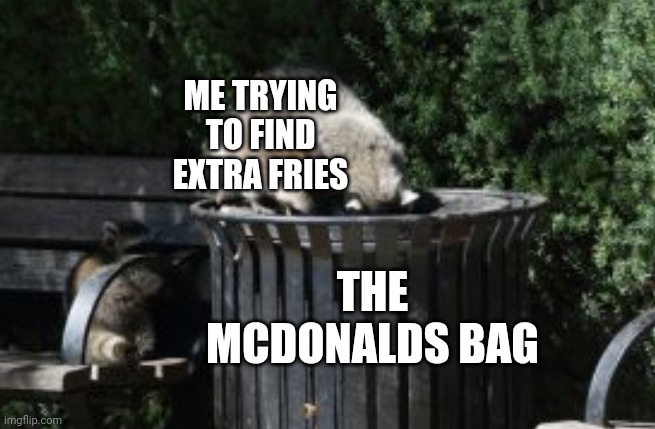 where are the french fries. | ME TRYING TO FIND EXTRA FRIES; THE MCDONALDS BAG | image tagged in french fries,mcdonalds | made w/ Imgflip meme maker