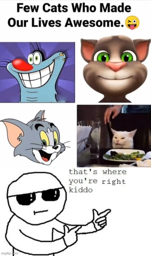 if you remember all of 4 cats then you're AWESOME | image tagged in that's where you're right kiddo | made w/ Imgflip meme maker