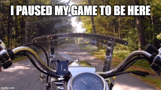 Harley Davidson |  I PAUSED MY GAME TO BE HERE | image tagged in road king,riding,wind therapy,motorcycle | made w/ Imgflip meme maker