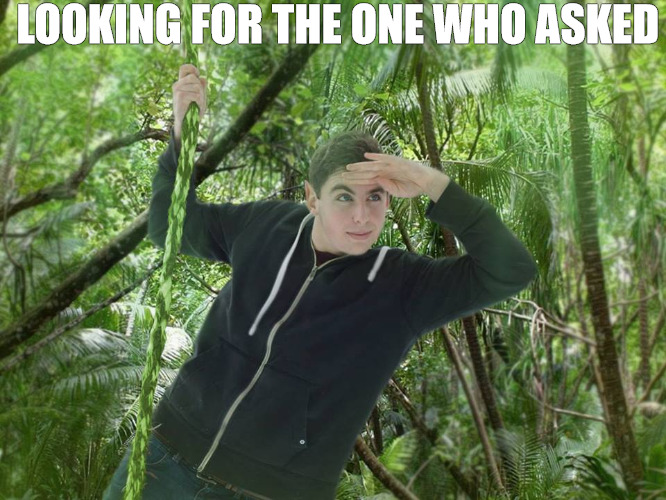 im tracking | LOOKING FOR THE ONE WHO ASKED | image tagged in joel of the jungle | made w/ Imgflip meme maker