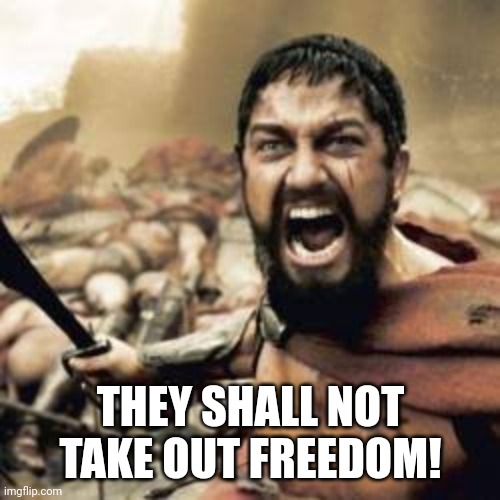 They shall not take our freedom | THEY SHALL NOT TAKE OUT FREEDOM! | image tagged in they shall not take our freedom | made w/ Imgflip meme maker