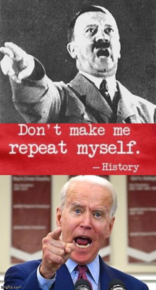 History Don't Make Me Repeat Myself Sticker Meme Quote 