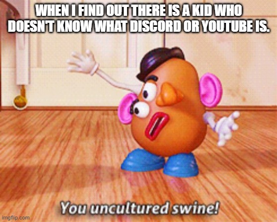 You uncultured swine | WHEN I FIND OUT THERE IS A KID WHO DOESN'T KNOW WHAT DISCORD OR YOUTUBE IS. | image tagged in you uncultured swine | made w/ Imgflip meme maker