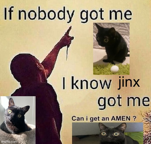 jin x | jinx | image tagged in if nobody got me | made w/ Imgflip meme maker