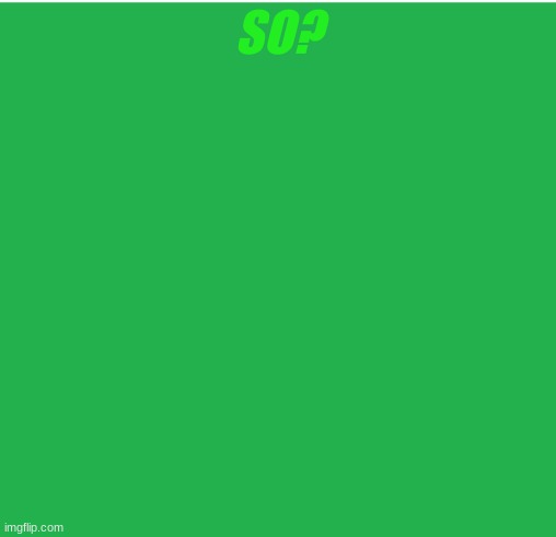 Green Screen | SO? | image tagged in green screen | made w/ Imgflip meme maker
