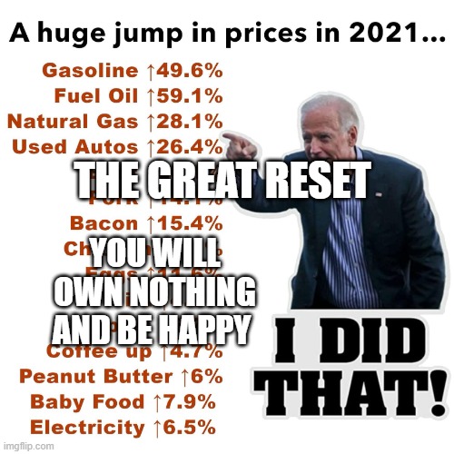 Thanks, Biden | THE GREAT RESET; YOU WILL OWN NOTHING AND BE HAPPY | image tagged in thanks biden | made w/ Imgflip meme maker