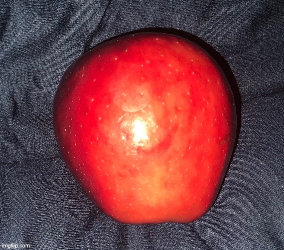 this is my pet apple, what should his name be | made w/ Imgflip meme maker