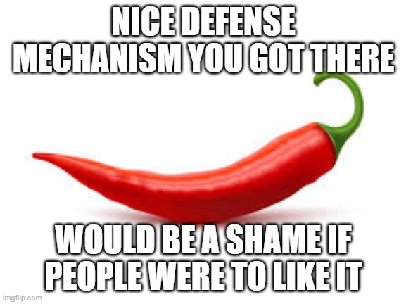 NICE DEFENSE MECHANISM YOU GOT THERE; WOULD BE A SHAME IF PEOPLE WERE TO LIKE IT | made w/ Imgflip meme maker