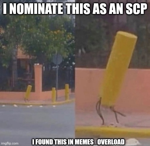 SCP Worthy right guys? | I NOMINATE THIS AS AN SCP; I FOUND THIS IN MEMES_OVERLOAD | image tagged in scp | made w/ Imgflip meme maker