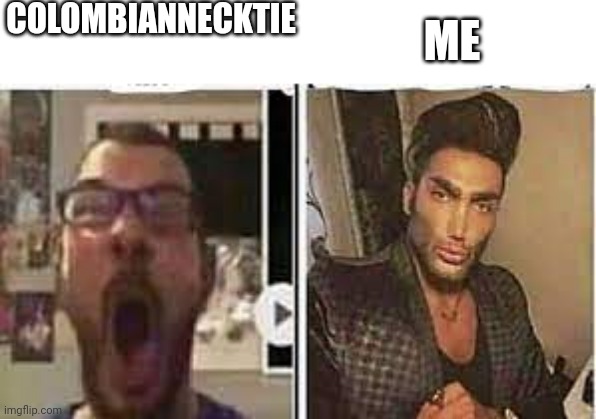 avrage fan vs enjoyer | COLOMBIANNECKTIE; ME | image tagged in avrage fan vs enjoyer | made w/ Imgflip meme maker