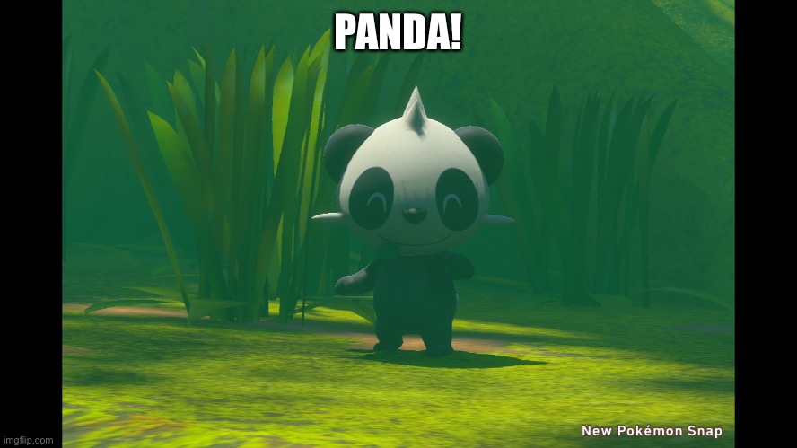Is a panda | PANDA! | made w/ Imgflip meme maker