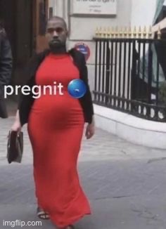 pregnit | made w/ Imgflip meme maker