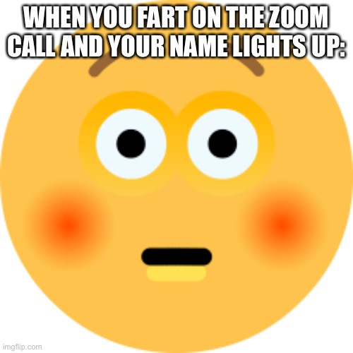 Embarrassment | WHEN YOU FART ON THE ZOOM CALL AND YOUR NAME LIGHTS UP: | image tagged in flushed | made w/ Imgflip meme maker