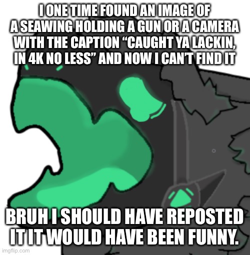 BRUH | I ONE TIME FOUND AN IMAGE OF A SEAWING HOLDING A GUN OR A CAMERA WITH THE CAPTION “CAUGHT YA LACKIN, IN 4K NO LESS” AND NOW I CAN’T FIND IT; BRUH I SHOULD HAVE REPOSTED IT IT WOULD HAVE BEEN FUNNY. | image tagged in pain | made w/ Imgflip meme maker