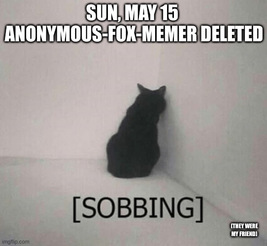 rip afm :( | SUN, MAY 15 
ANONYMOUS-FOX-MEMER DELETED; (THEY WERE MY FRIEND) | image tagged in sobbing cat | made w/ Imgflip meme maker