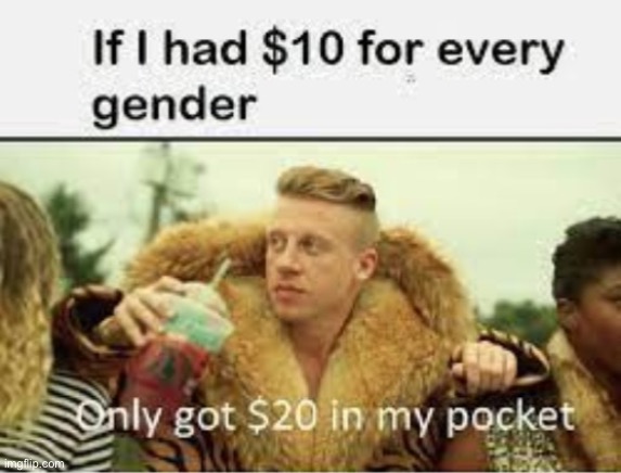 image tagged in macklemore thrift store | made w/ Imgflip meme maker