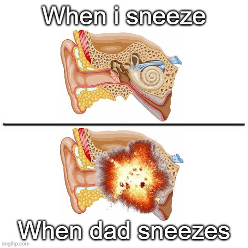 Me vs. someone else |  When i sneeze; When dad sneezes | image tagged in me vs someone else | made w/ Imgflip meme maker