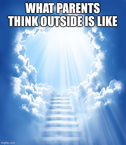 If you play call of duty maybe go outside and touch grass | WHAT PARENTS THINK OUTSIDE IS LIKE | image tagged in heaven | made w/ Imgflip meme maker