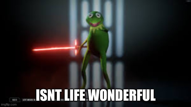 Kermit Ren | ISNT LIFE WONDERFUL | image tagged in kermit the frog,evil kermit | made w/ Imgflip meme maker