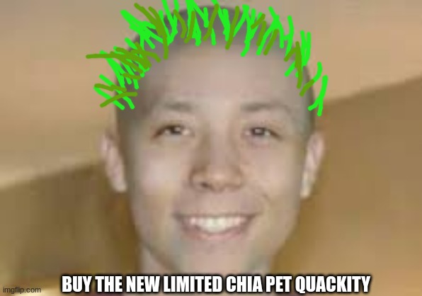Chia Pets | BUY THE NEW LIMITED CHIA PET QUACKITY | image tagged in quackity,chia pet,dsmp,meme | made w/ Imgflip meme maker