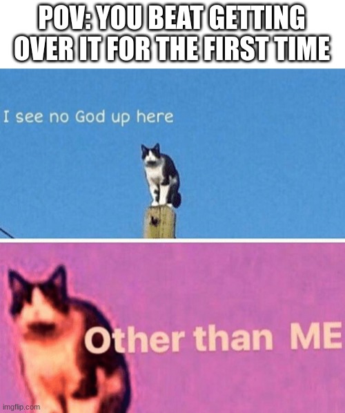 nice lol | POV: YOU BEAT GETTING OVER IT FOR THE FIRST TIME | image tagged in hail pole cat | made w/ Imgflip meme maker
