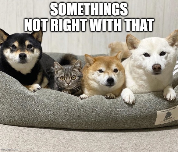 One of these things is not like the other | SOMETHINGS NOT RIGHT WITH THAT | image tagged in one of these things is not like the other | made w/ Imgflip meme maker